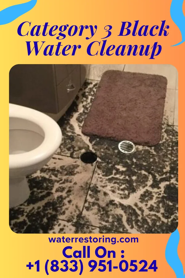 Category 3 Black Water Cleanup in Guntown, MS
