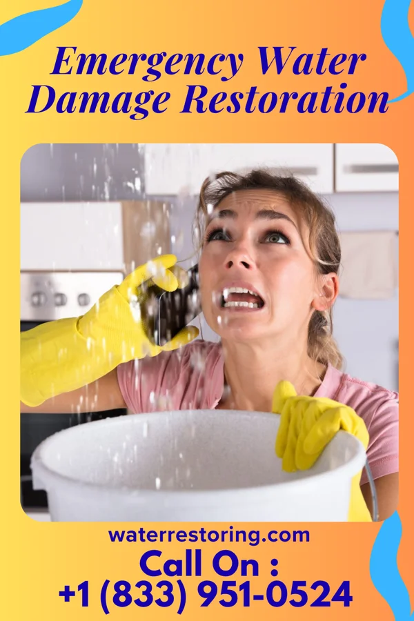 Emergency Water Damage Restoration in Guntown, MS
