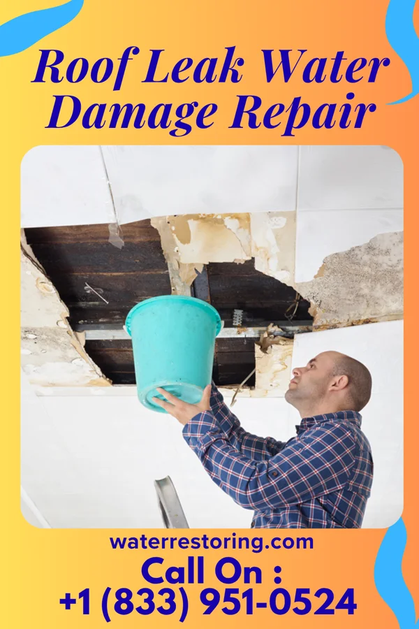 Roof Leak Water Damage Repair in Guntown, MS